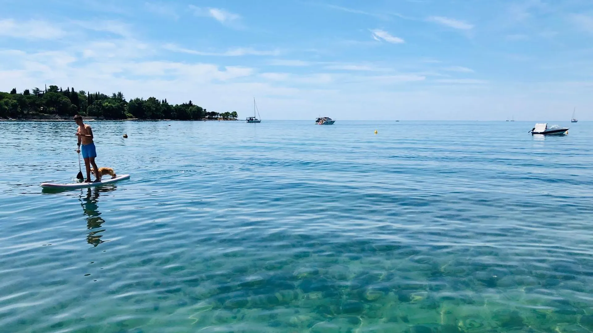 Villa Moletto Apartments With Sea View Lovrečica